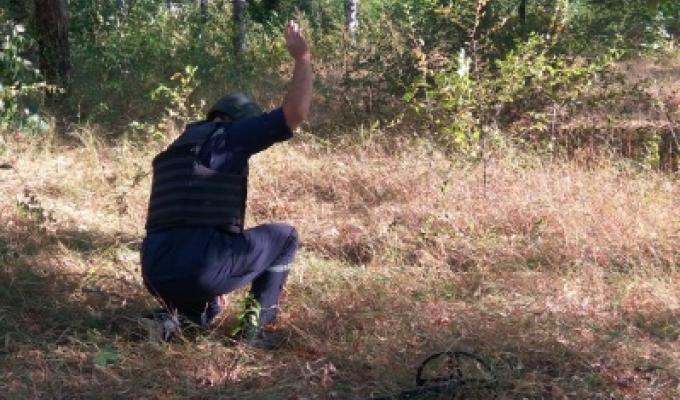 Піротехніками на Луганщині вилучено 13 одиниць вибухонебезпечних предметів