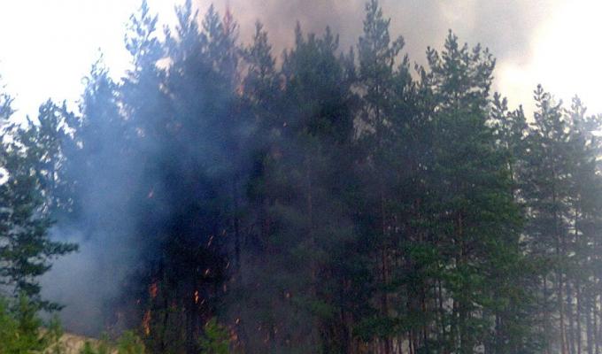 ЛІСІВНИКИ ЗАКЛИКАЮТЬ ДОТРИМУВАТИСЬ  ПРАВИЛ ПОЖЕЖНОЇ БЕЗПЕКИ В ЛІСІ.