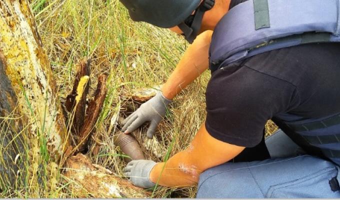 Піротехніками на Луганщині вилучено 14 одиниць вибухонебезпечних предметів 