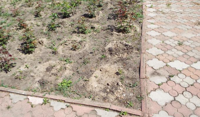 Шановні мешканці Станиці Луганської, пам’ятайте, що Станиця, район, область, країна не закінчуються за парканом вашого подвір'я.