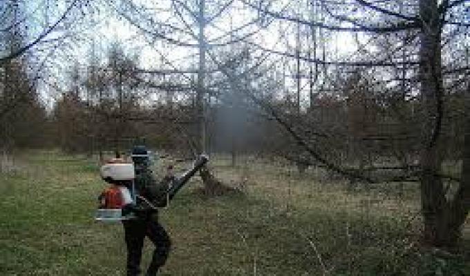 Увага, проводитимуться наземні винищувальні заходи боротьби з шкідниками лісу, шляхом обробки лісових масивів