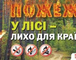 Правила поведінки у лісі в пожежонебезпечний період