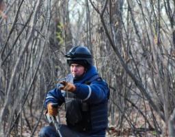 Піротехніками на Луганщині вилучено 29 одиниць вибухонебезпечних предметів 