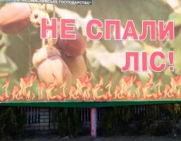 В Станично-Луганському районі - найвищий клас пожежної небезпеки!