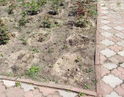 Шановні мешканці Станиці Луганської, пам’ятайте, що Станиця, район, область, країна не закінчуються за парканом вашого подвір'я.