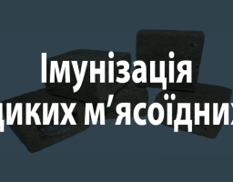 Кампанія з імунізації диких м’ясоїдних тварин  проти сказу