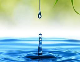 До уваги бажаючих отримати водні об’єкти в оренду у комплексі із земельною ділянкою на конкурсних засадах (земельних торгах)