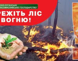 Щоб в лісі не спалахнула пожежа. . .