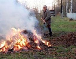 Перш ніж палити листя – добре подумай 