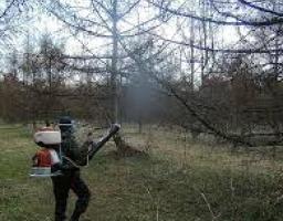 Увага, проводитимуться наземні винищувальні заходи боротьби з шкідниками лісу, шляхом обробки лісових масивів